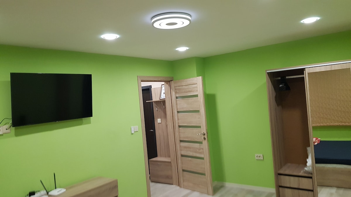 Apartment for guests Iva